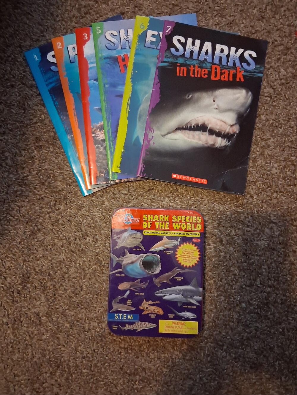 6 Shark Book & Educational Magnets And Learning Material.